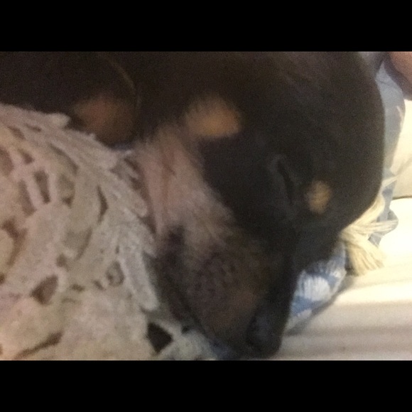 Meet your Posher, Chris - Picture 5 of 5